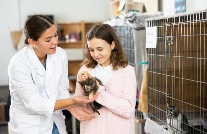 Choisissez parmi un chien, un chat, un hamster, un furet et d’autres animaux.
